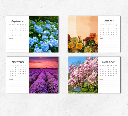 Flowers Desk Calendar 2027-2028