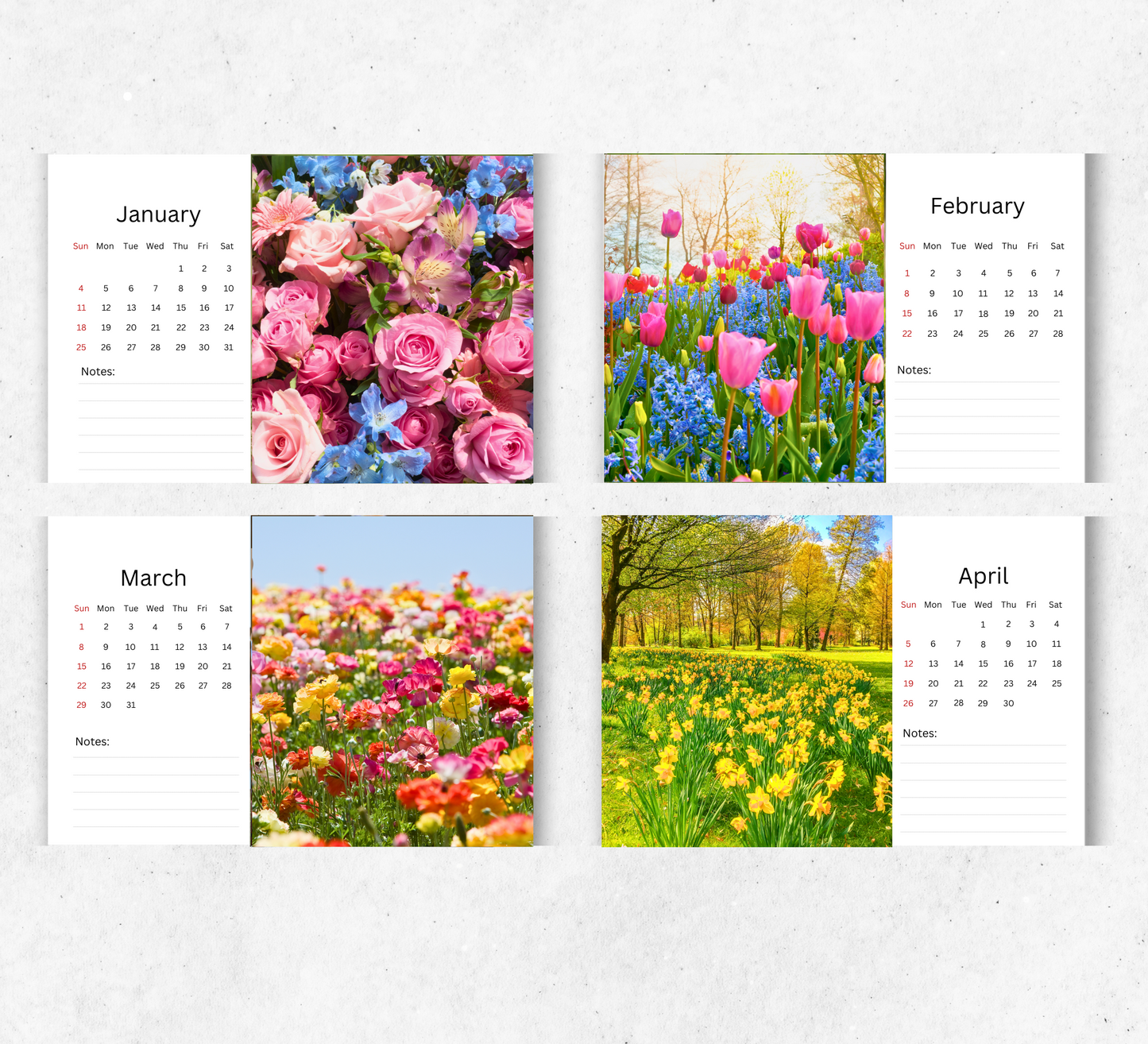 Flowers Desk Calendar 2026-2027