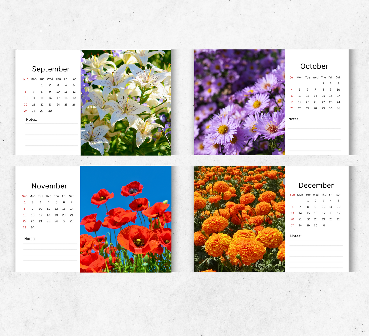 Flowers Desk Calendar 2026-2027