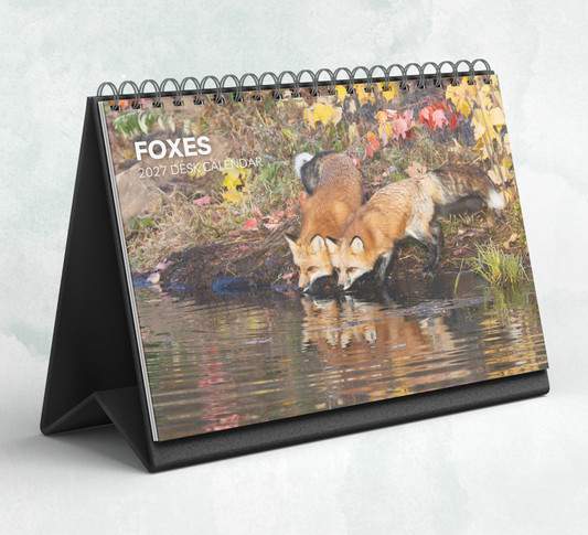 Fox Desk Calendar 2027-2028