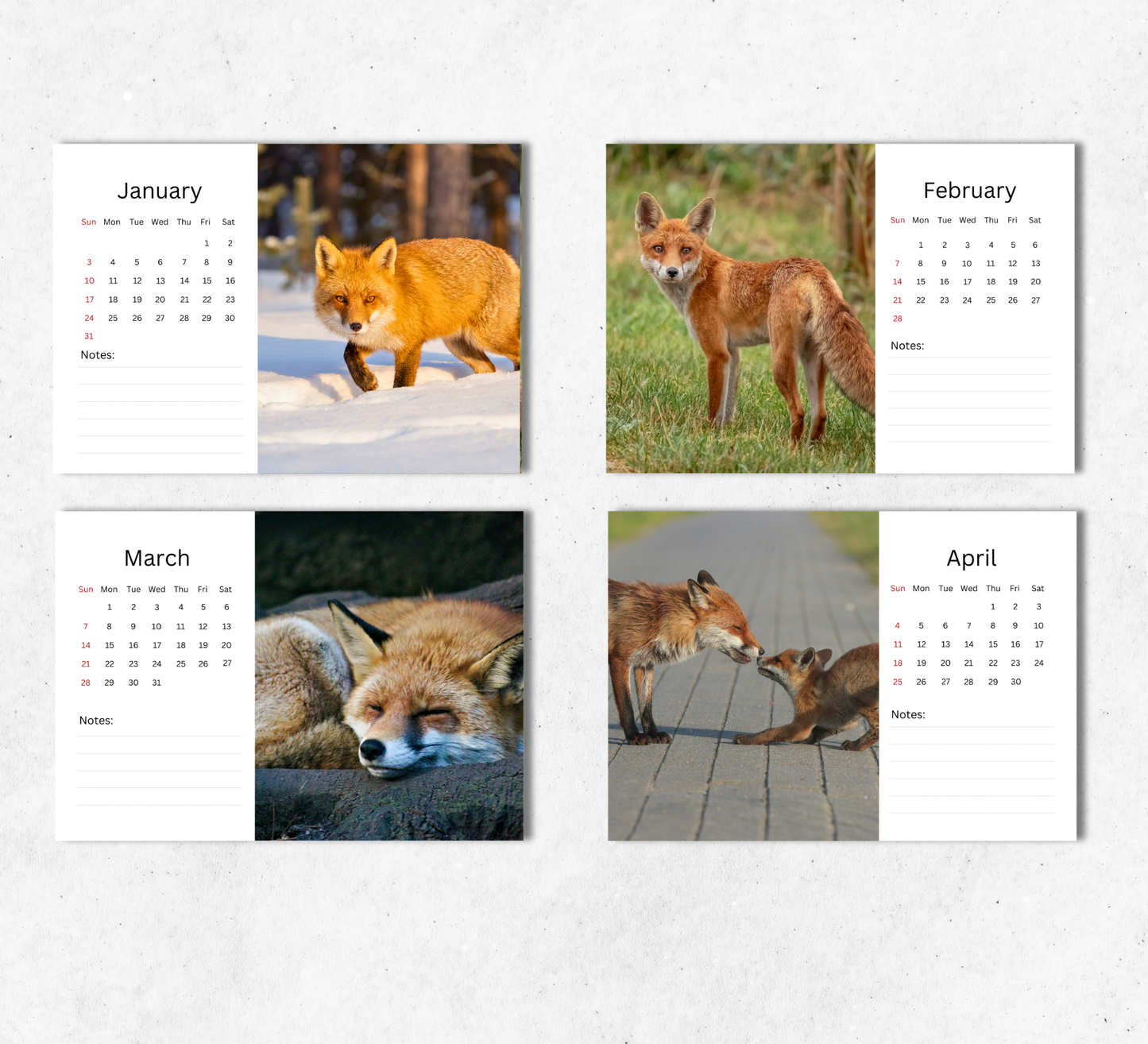 Fox Desk Calendar 2027-2028