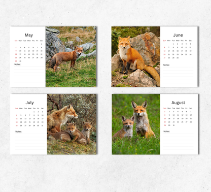 Fox Desk Calendar 2027-2028