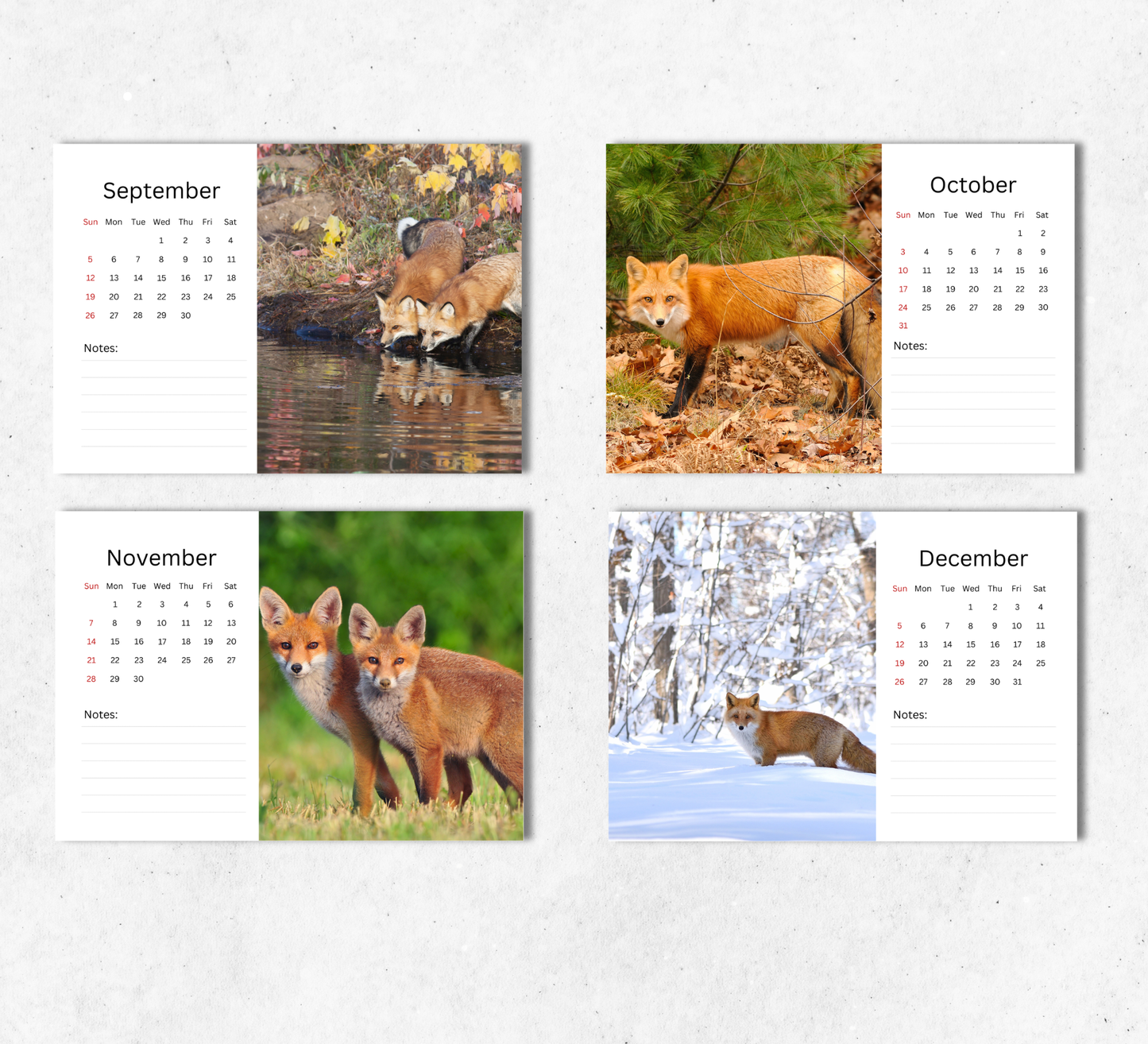 Fox Desk Calendar 2027-2028
