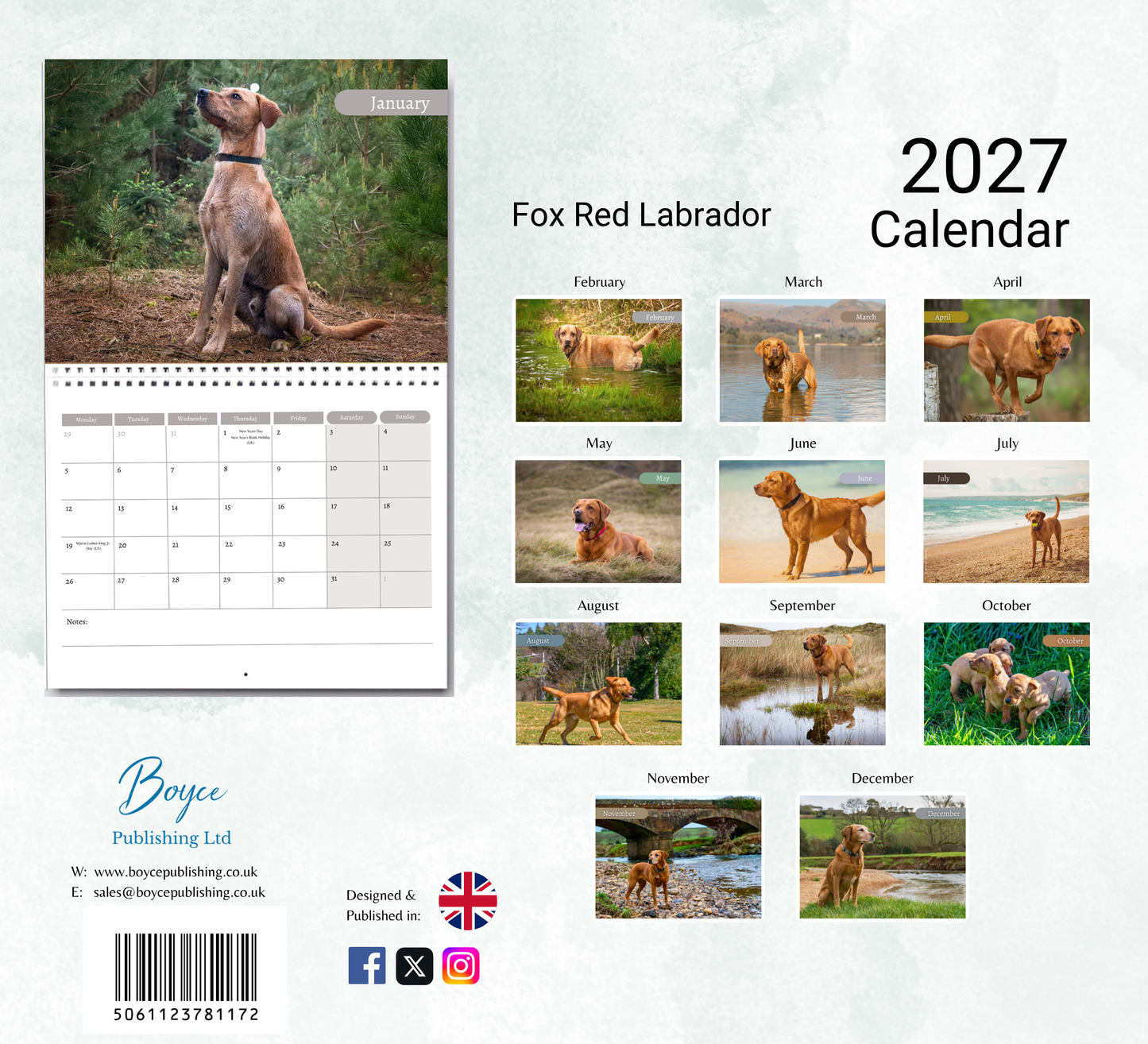 Fox Red Labrador Calendar 2027