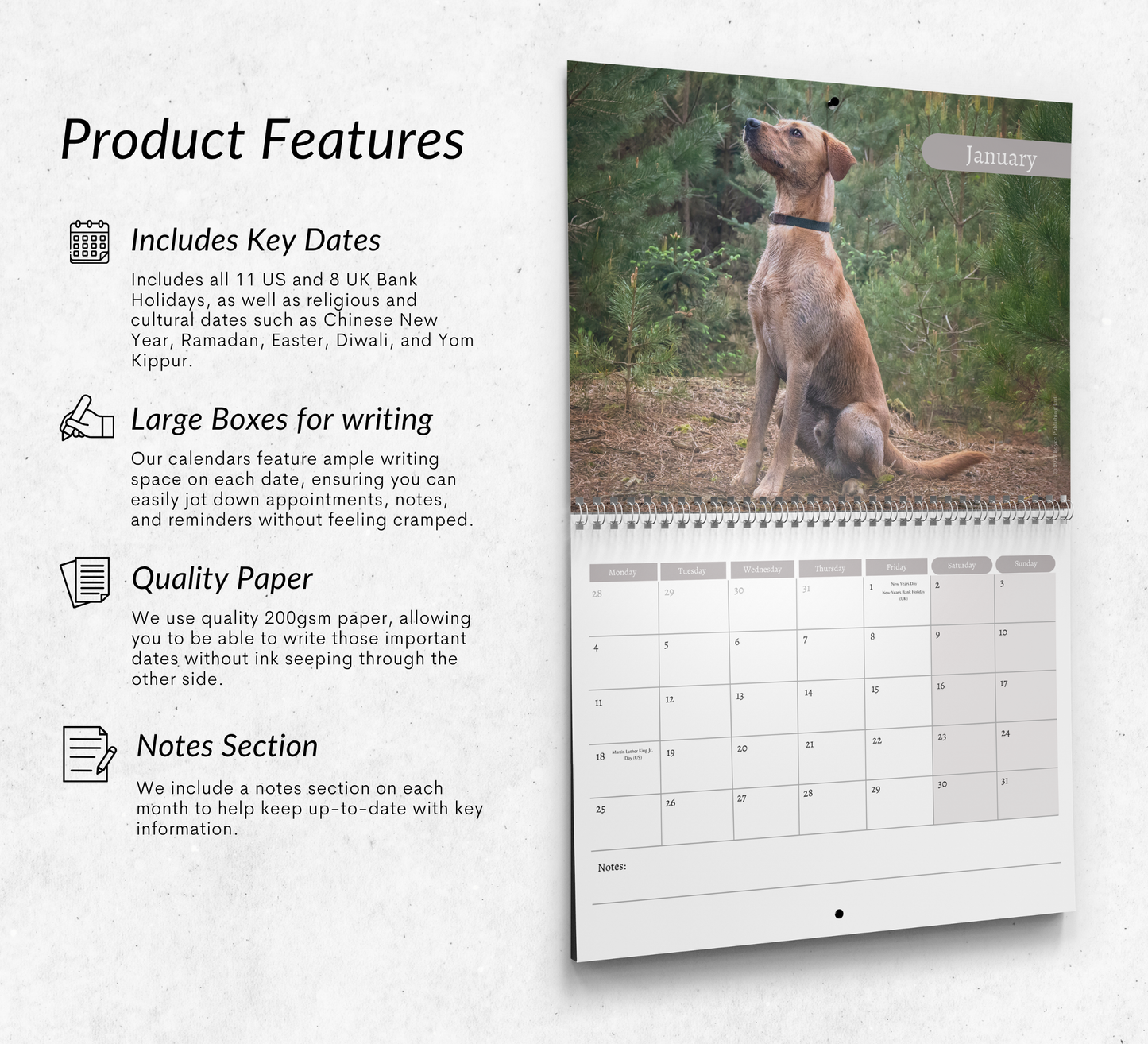 Fox Red Labrador Calendar 2027