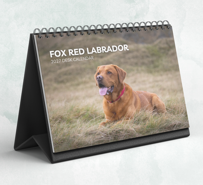 Fox Red Labrador Desk Calendar 2027-2028