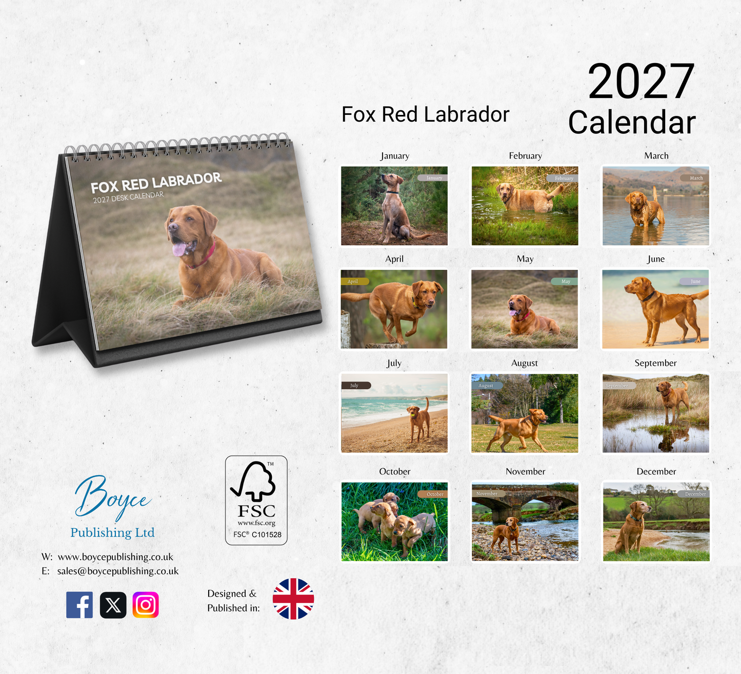 Fox Red Labrador Desk Calendar 2027-2028