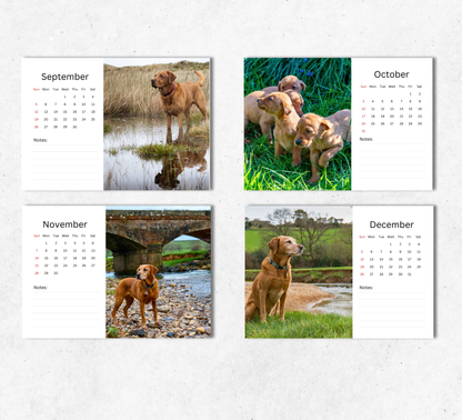 Fox Red Labrador Desk Calendar 2027-2028