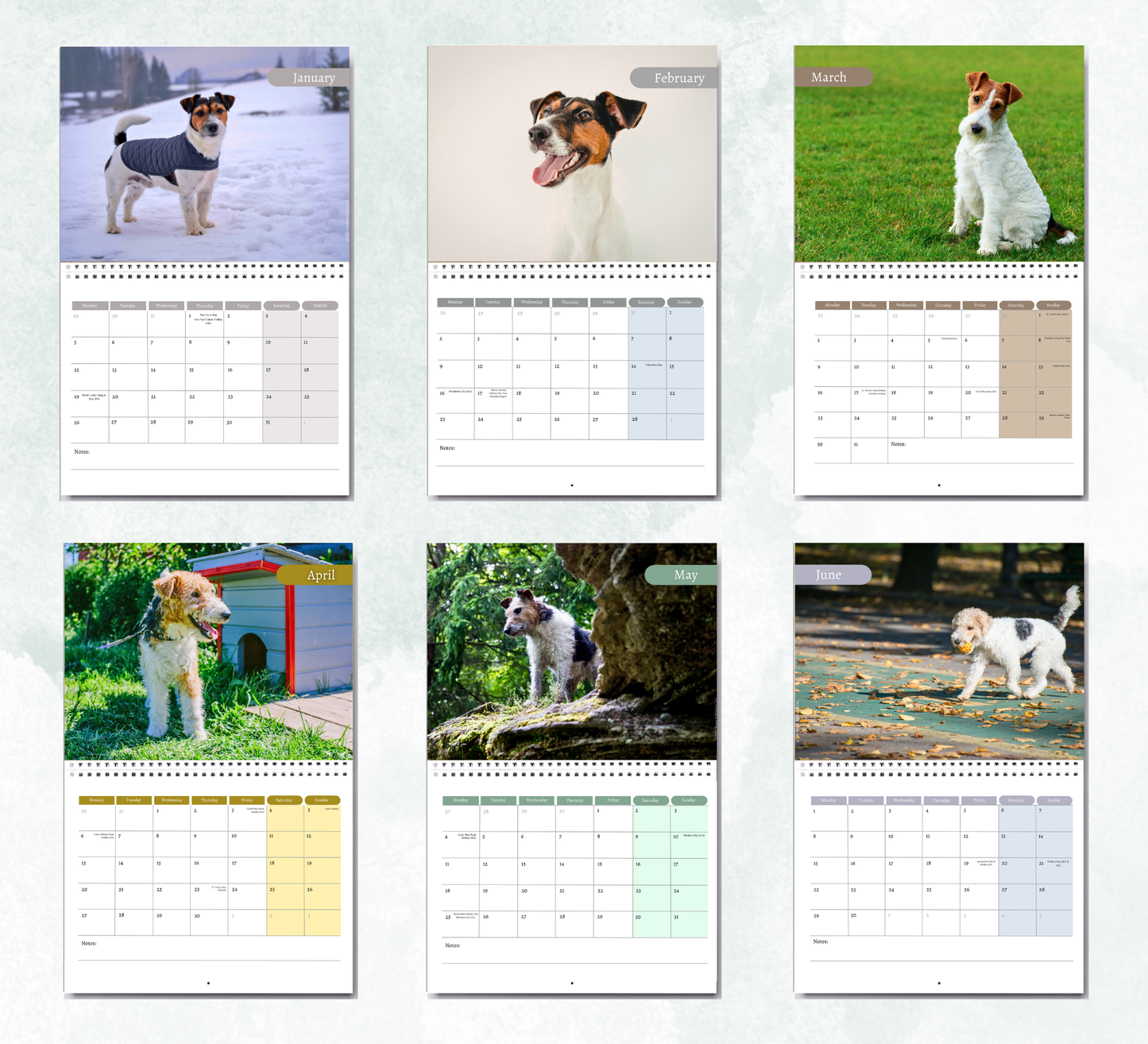 Fox Terrier Calendar 2027