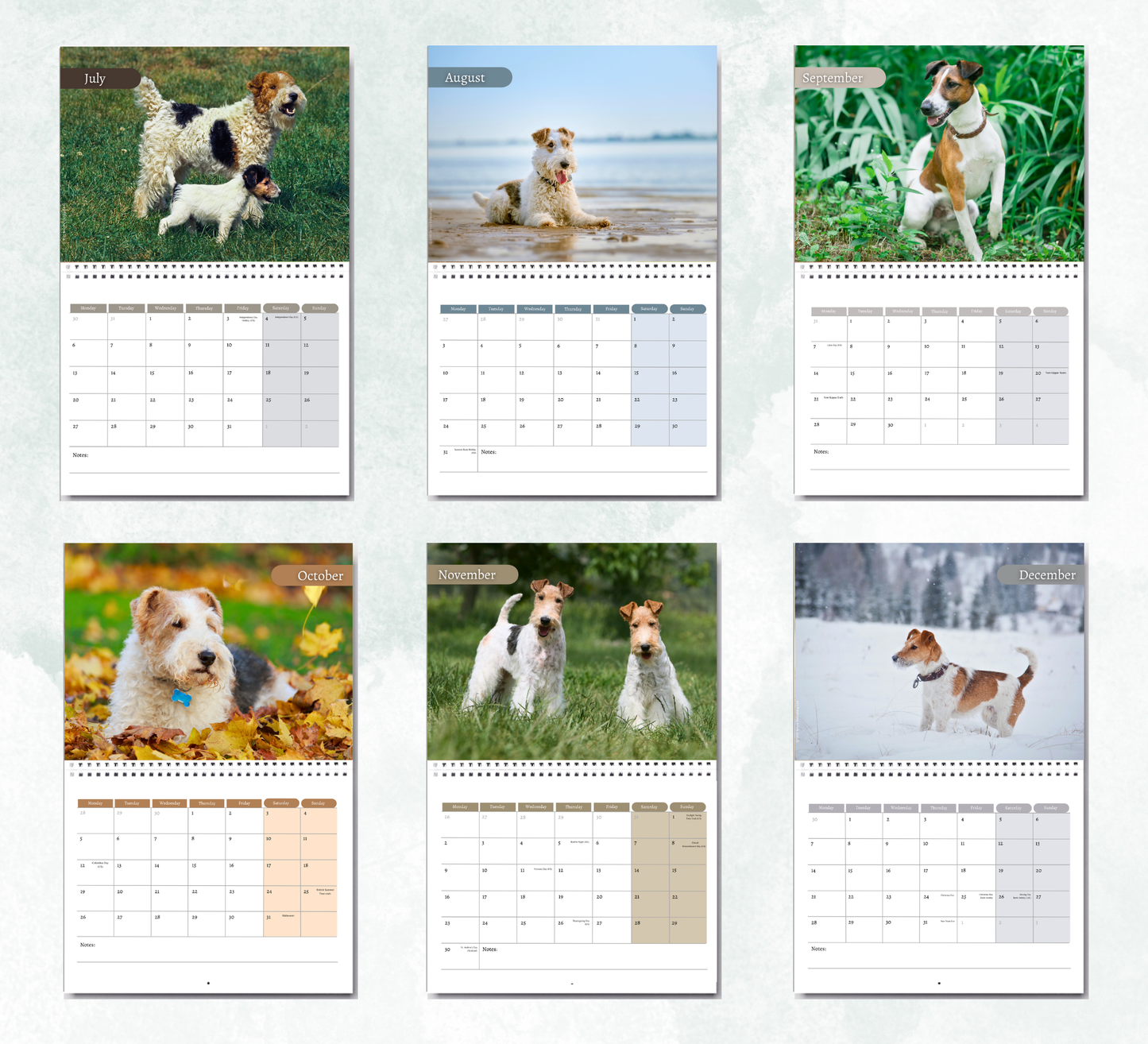 Fox Terrier Calendar 2027
