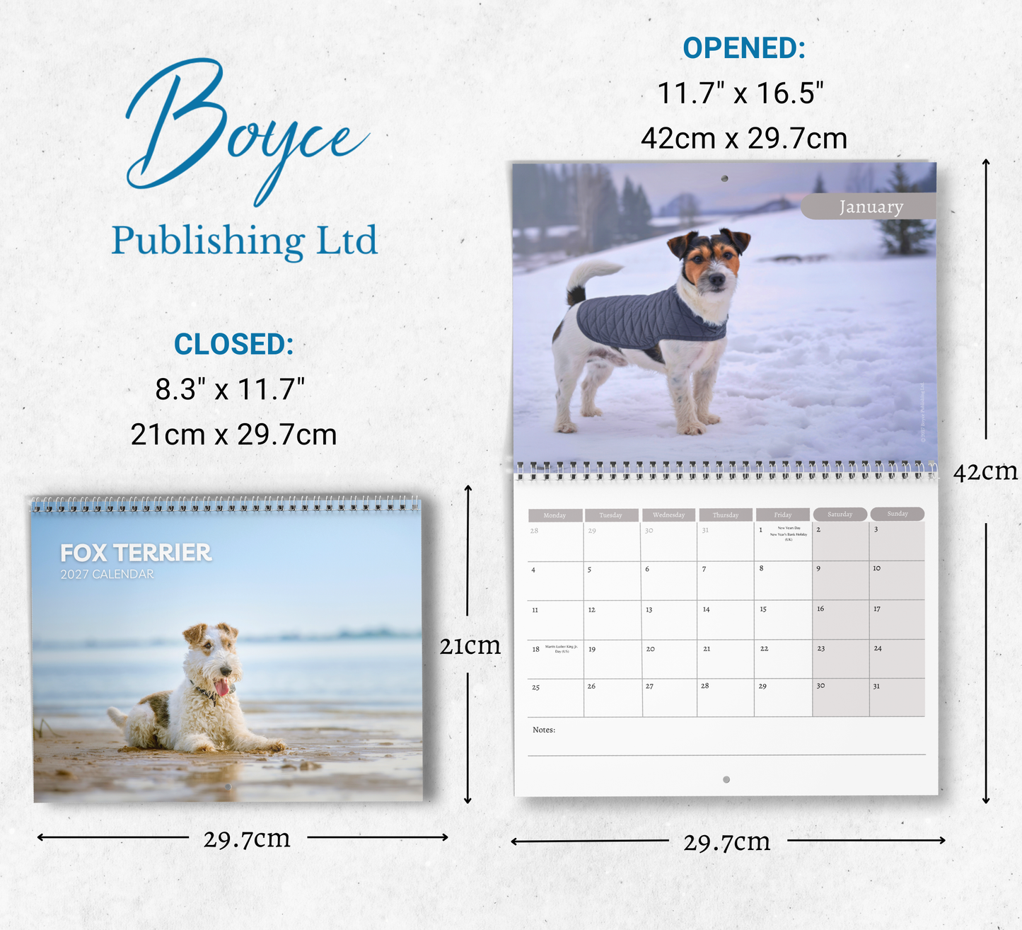 Fox Terrier Calendar 2027