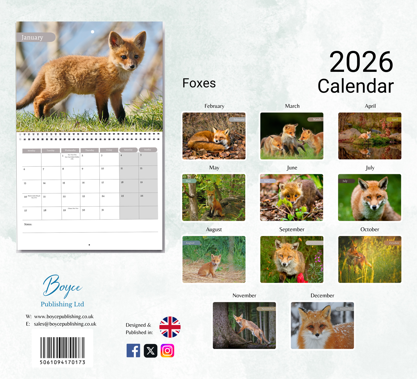 Foxes Calendar 2026