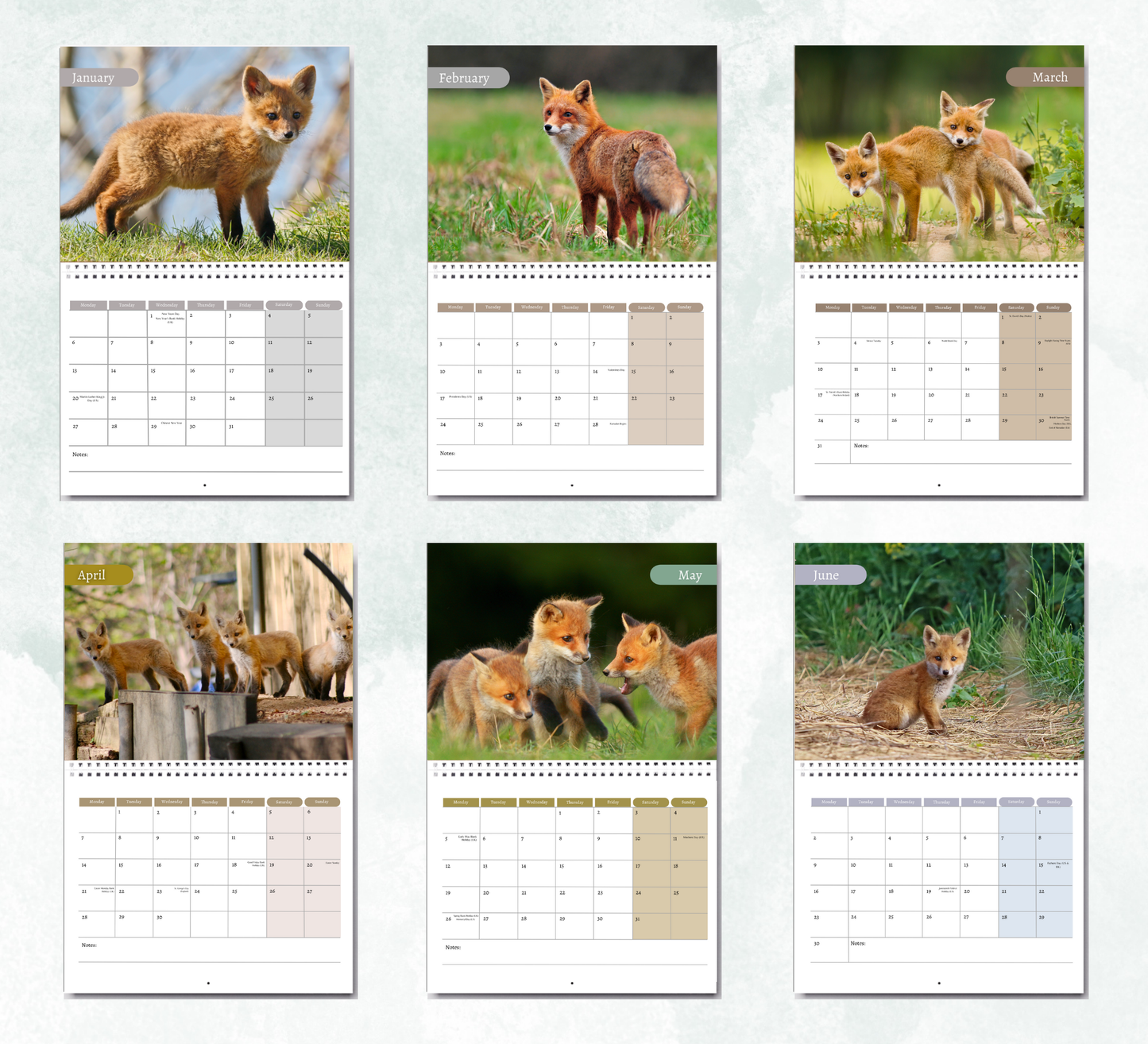 Foxes Calendar 2026