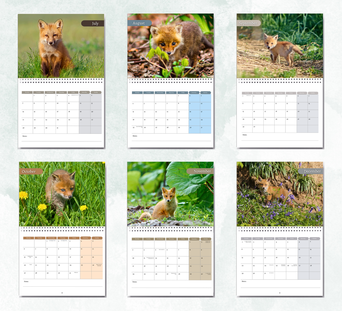 Foxes Calendar 2026