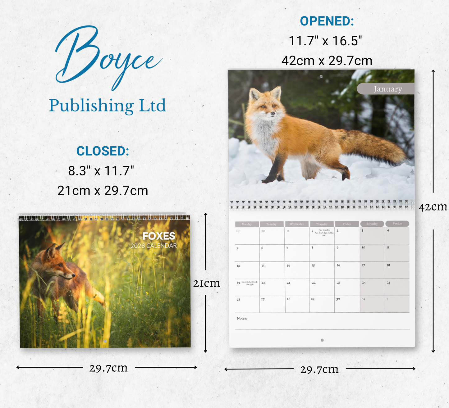 Foxes Calendar 2026