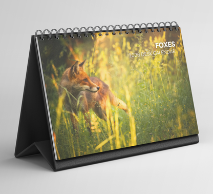 Foxes Desk Calendar 2026-2027