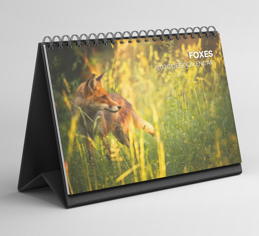 Foxes Desk Calendar 2026-2027