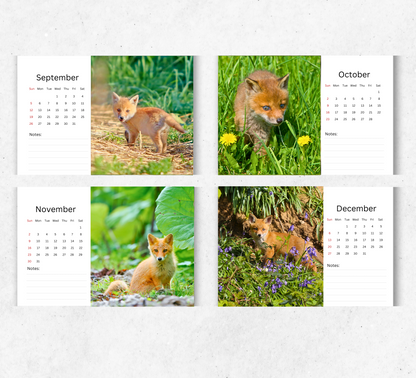 Foxes Desk Calendar 2026-2027
