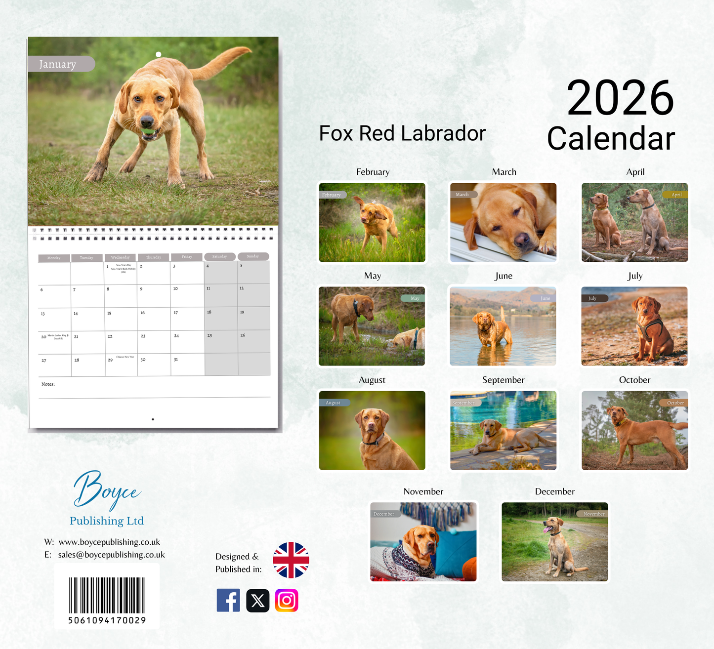 Fox Red Labrador Calendar 2026