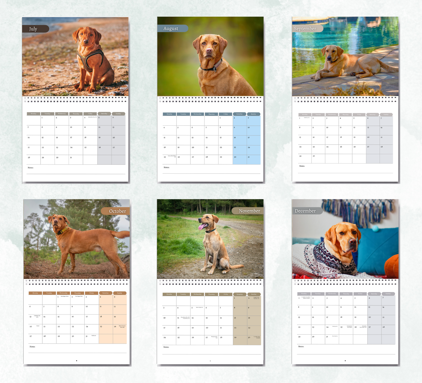 Fox Red Labrador Calendar 2026