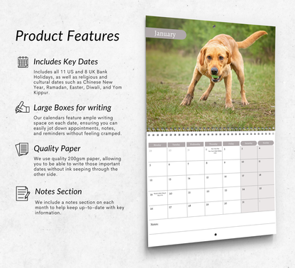 Fox Red Labrador Calendar 2026