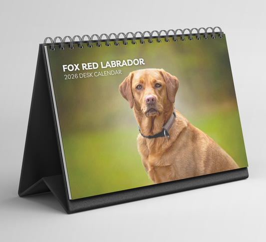 Fox Red Labrador Desk Calendar 2026-2027