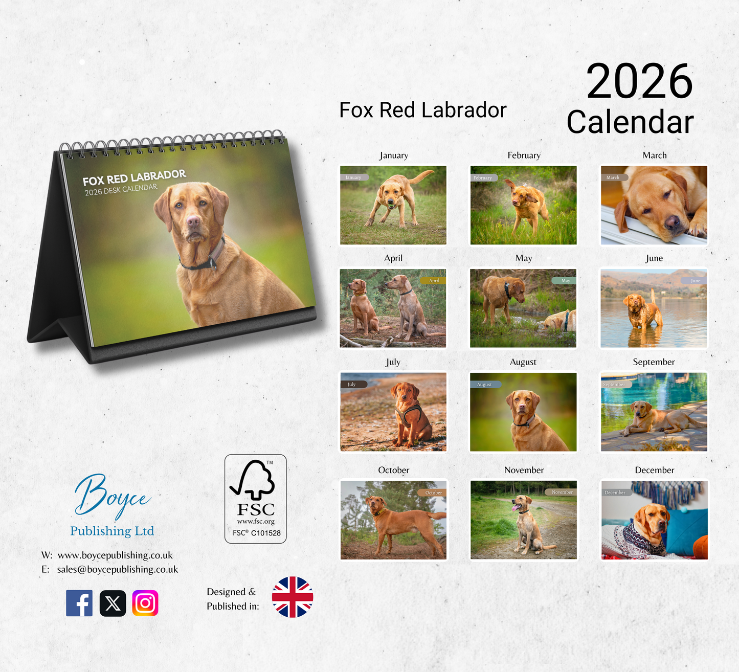 Fox Red Labrador Desk Calendar 2026-2027