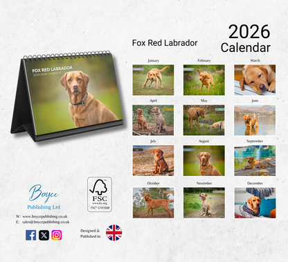 Fox Red Labrador Desk Calendar 2026-2027