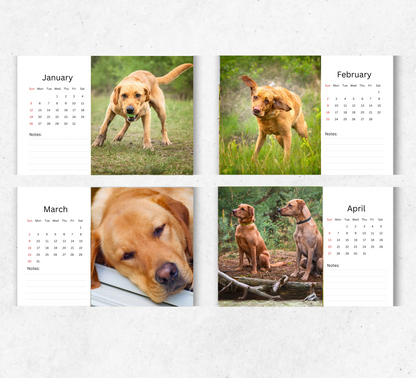 Fox Red Labrador Desk Calendar 2026-2027
