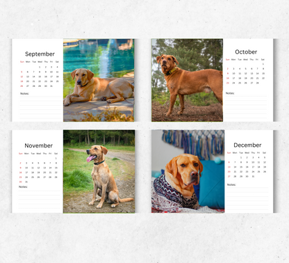 Fox Red Labrador Desk Calendar 2026-2027