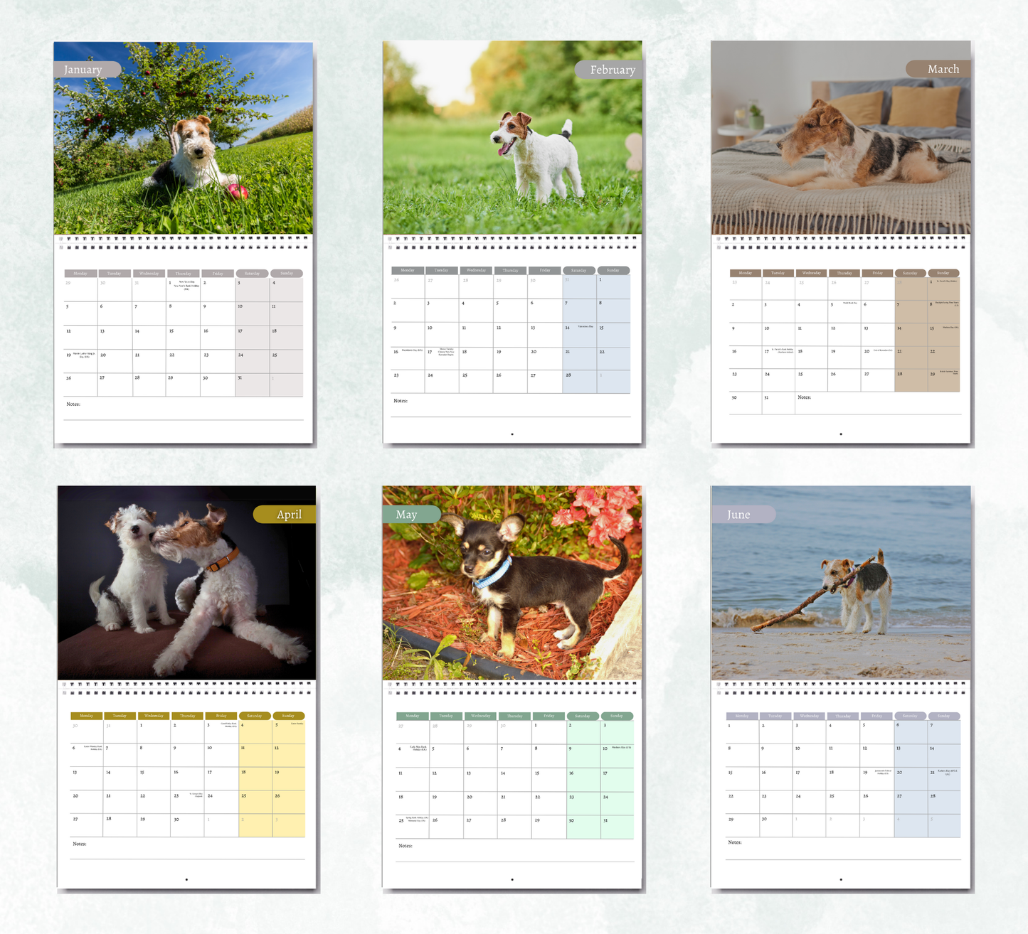 Fox Terrier Calendar 2026