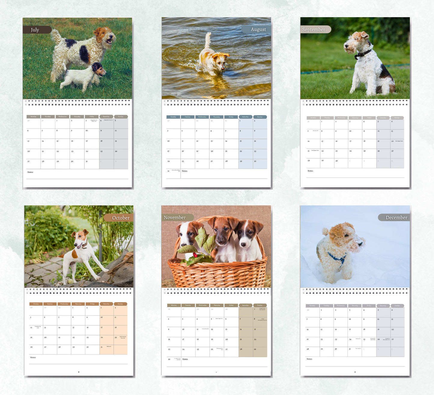 Fox Terrier Calendar 2026