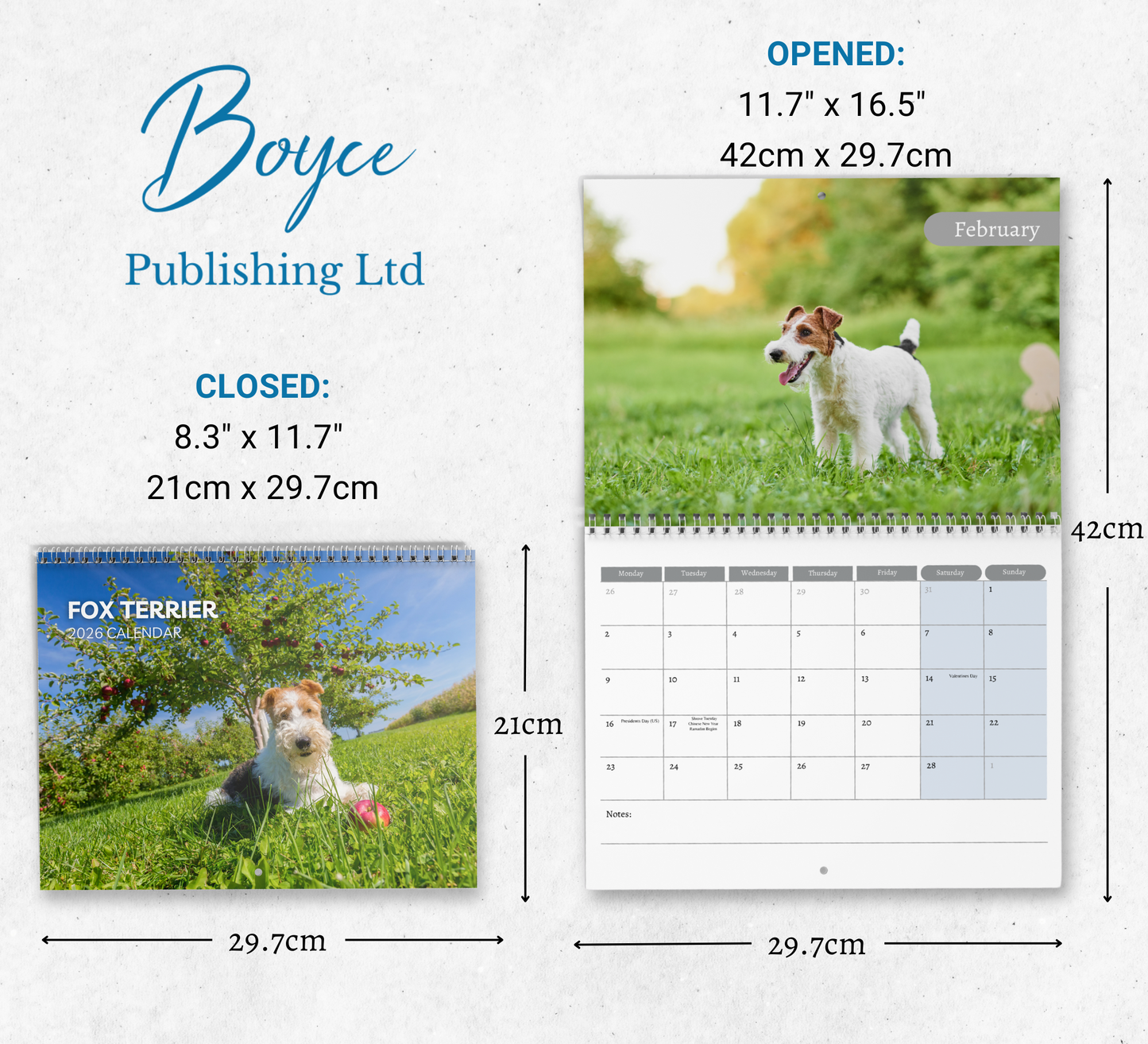 Fox Terrier Calendar 2026