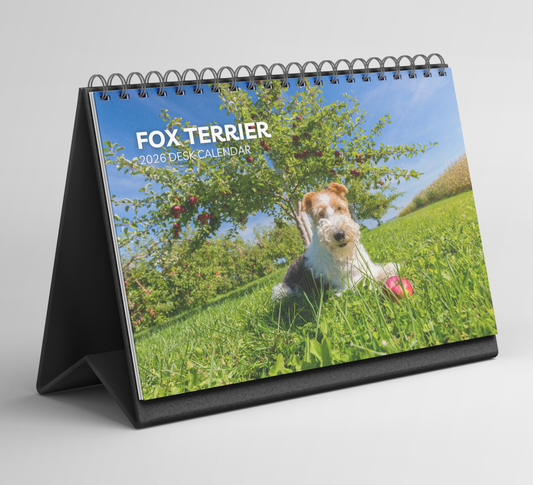 Fox Terrier Desk Calendar 2026-2027