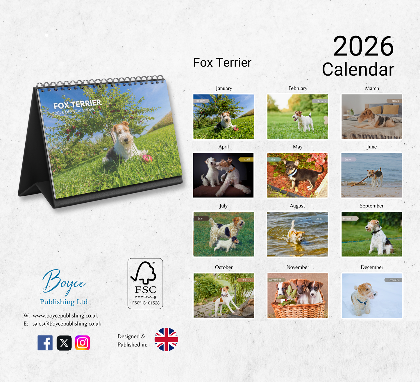 Fox Terrier Desk Calendar 2026-2027