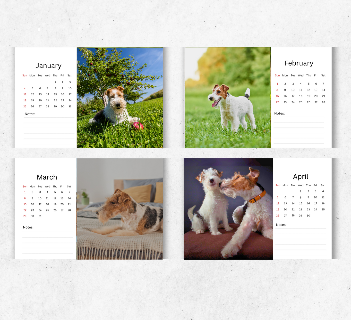 Fox Terrier Desk Calendar 2026-2027