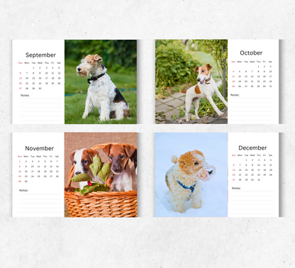 Fox Terrier Desk Calendar 2026-2027