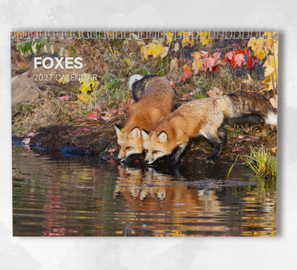 Fox Calendar 2027