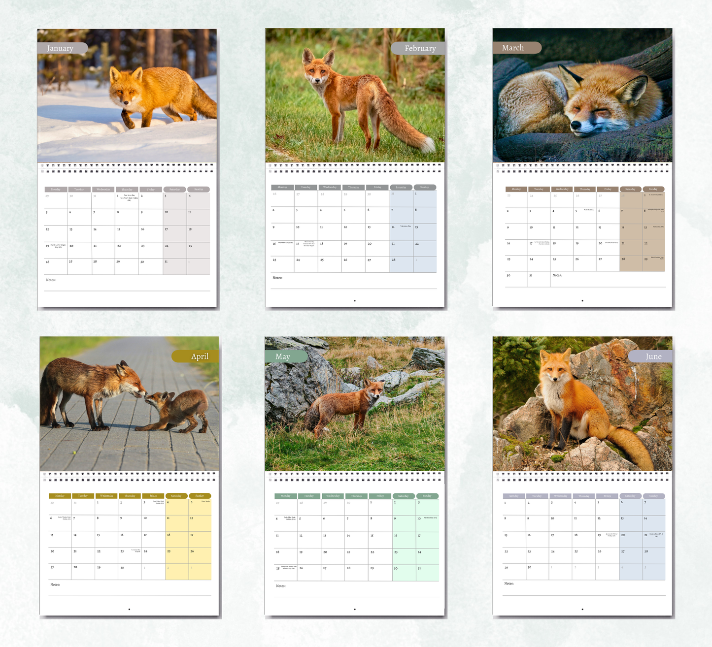 Fox Calendar 2027