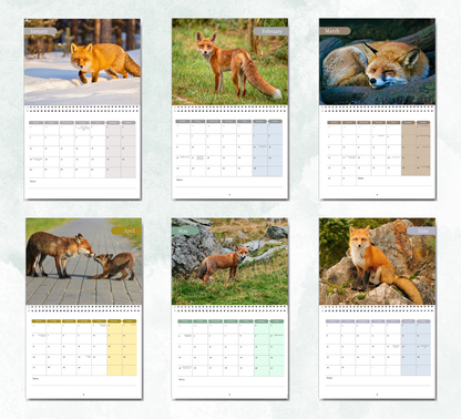 Fox Calendar 2027