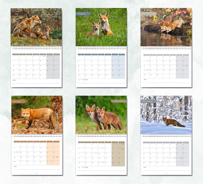 Fox Calendar 2027