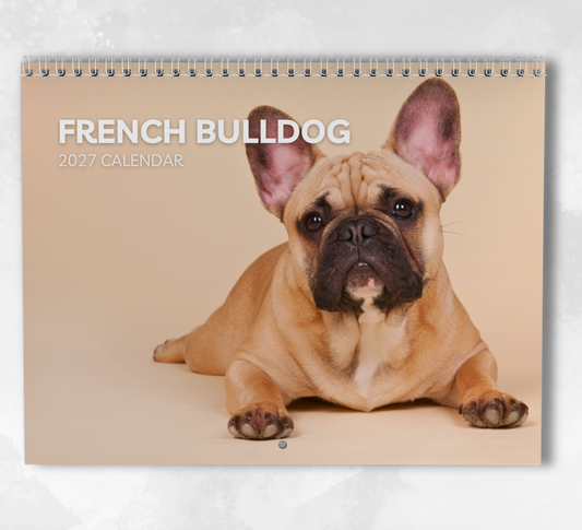 French Bulldog Calendar 2027