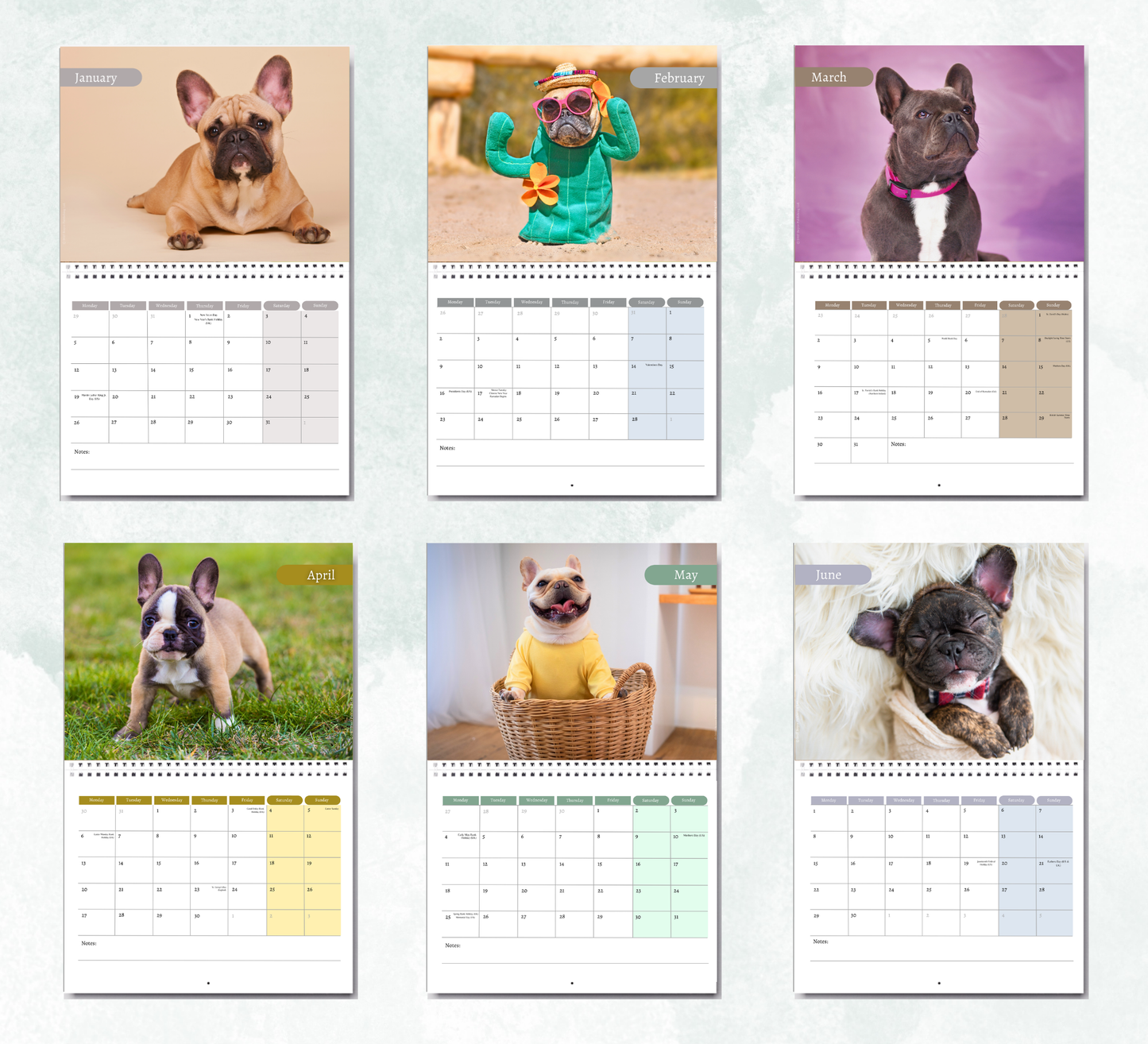 French Bulldog Calendar 2027