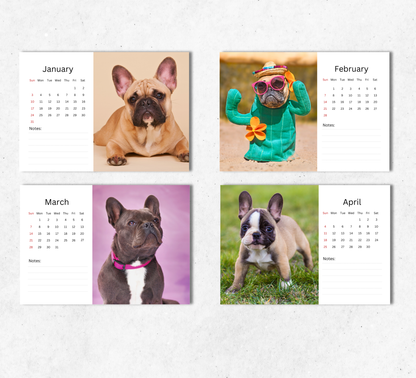 French Bulldog Desk Calendar 2027-2028
