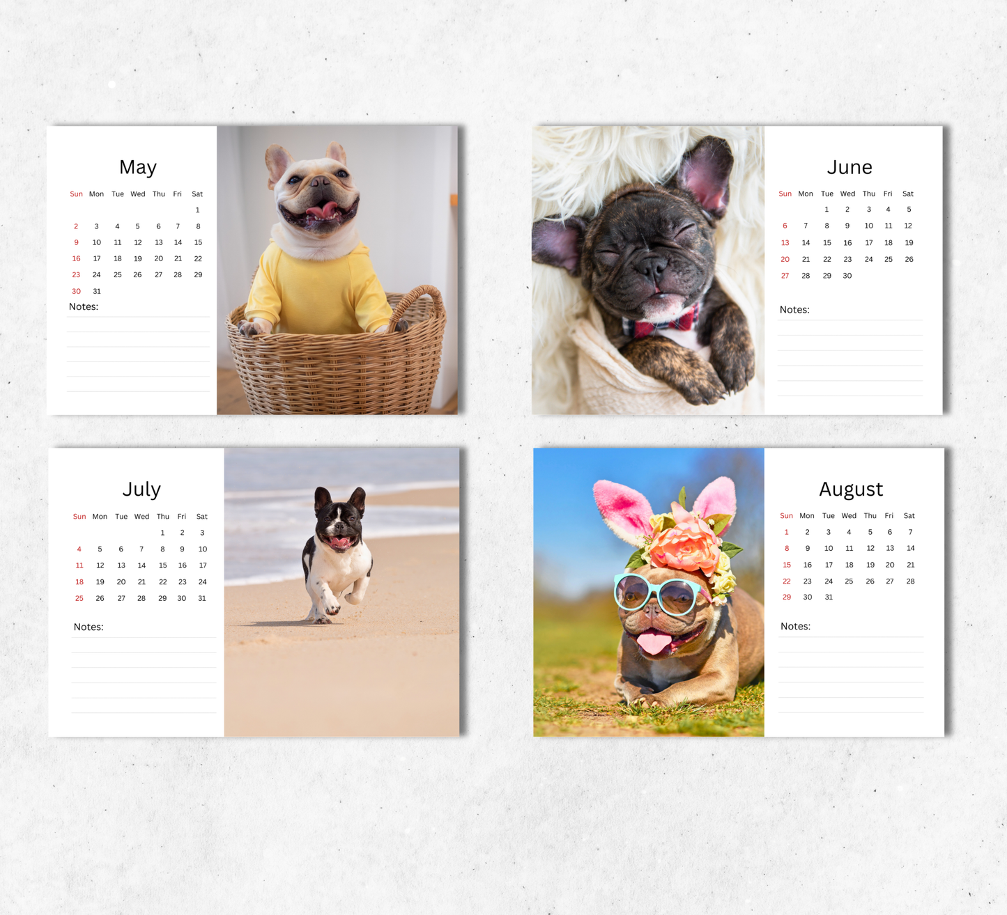 French Bulldog Desk Calendar 2027-2028
