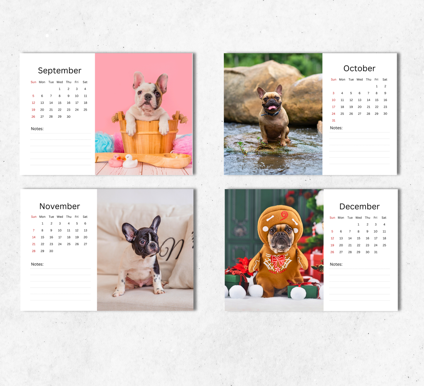 French Bulldog Desk Calendar 2027-2028