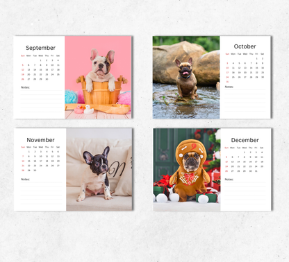 French Bulldog Desk Calendar 2027-2028