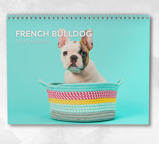 French Bulldog Calendar 2026