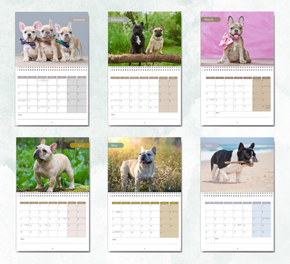French Bulldog Calendar 2026