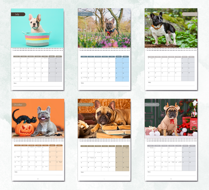 French Bulldog Calendar 2026